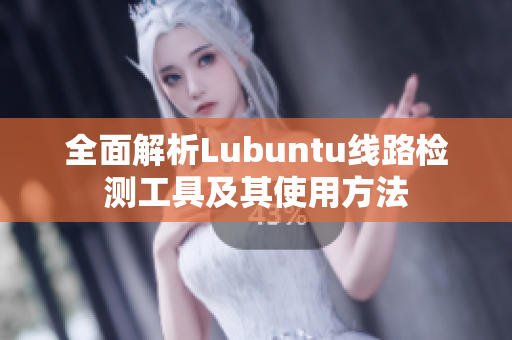 全面解析Lubuntu线路检测工具及其使用方法