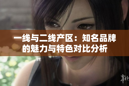 一线与二线产区：知名品牌的魅力与特色对比分析