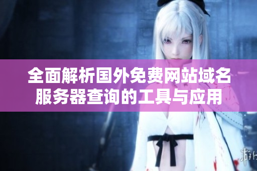 全面解析国外免费网站域名服务器查询的工具与应用