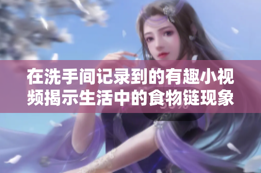 在洗手间记录到的有趣小视频揭示生活中的食物链现象