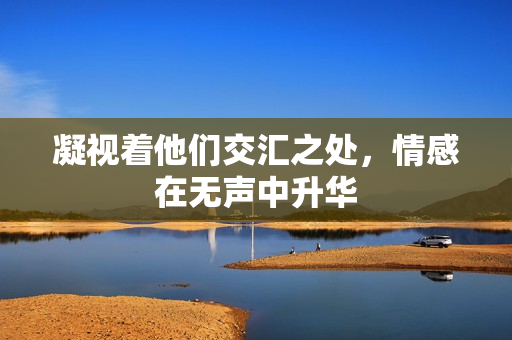 凝视着他们交汇之处，情感在无声中升华