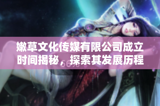 嫩草文化传媒有限公司成立时间揭秘，探索其发展历程与影响力