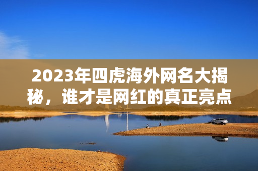 2023年四虎海外网名大揭秘，谁才是网红的真正亮点？
