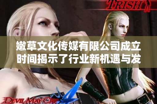 嫩草文化传媒有限公司成立时间揭示了行业新机遇与发展趋势