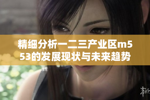精细分析一二三产业区m553的发展现状与未来趋势