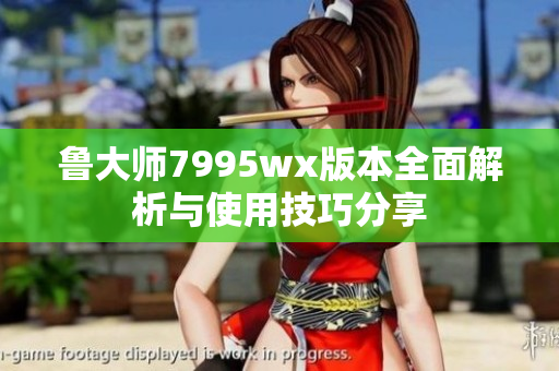 鲁大师7995wx版本全面解析与使用技巧分享