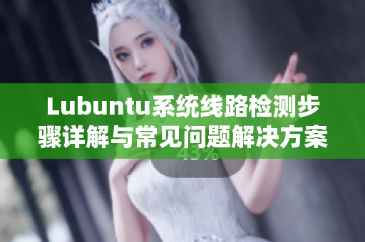 Lubuntu系统线路检测步骤详解与常见问题解决方案