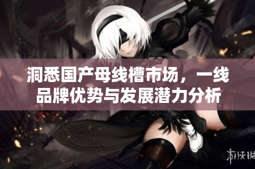 洞悉国产母线槽市场，一线品牌优势与发展潜力分析