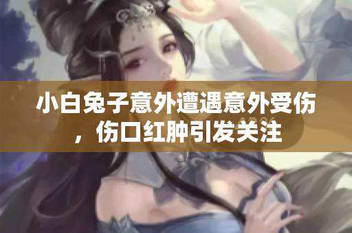 小白兔子意外遭遇意外受伤，伤口红肿引发关注