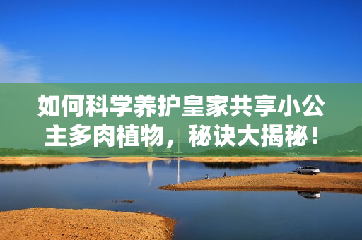 如何科学养护皇家共享小公主多肉植物，秘诀大揭秘！