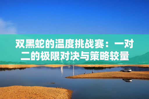 双黑蛇的温度挑战赛：一对二的极限对决与策略较量