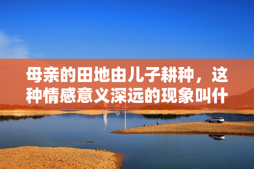 母亲的田地由儿子耕种，这种情感意义深远的现象叫什么呢