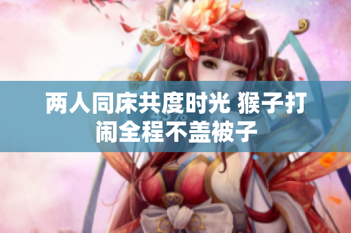 两人同床共度时光 猴子打闹全程不盖被子