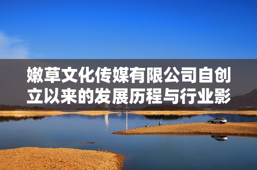 嫩草文化传媒有限公司自创立以来的发展历程与行业影响