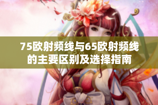 75欧射频线与65欧射频线的主要区别及选择指南