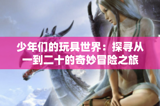 少年们的玩具世界：探寻从一到二十的奇妙冒险之旅