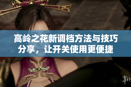 高岭之花新调档方法与技巧分享，让开关使用更便捷