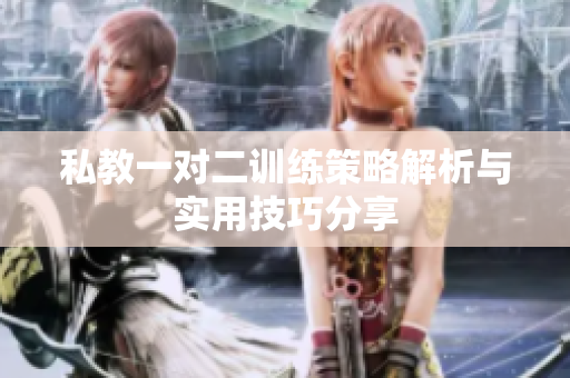 私教一对二训练策略解析与实用技巧分享