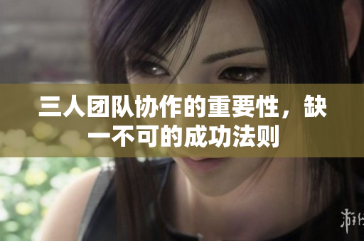 三人团队协作的重要性，缺一不可的成功法则