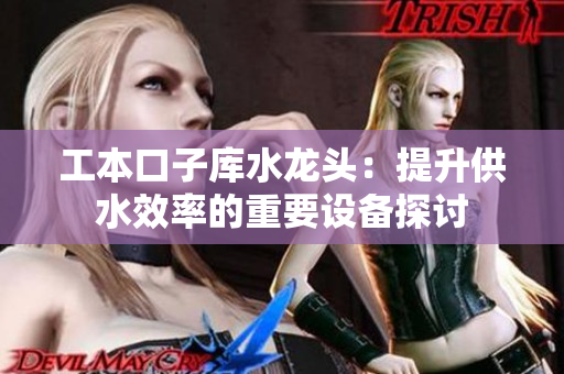 工本口子库水龙头：提升供水效率的重要设备探讨