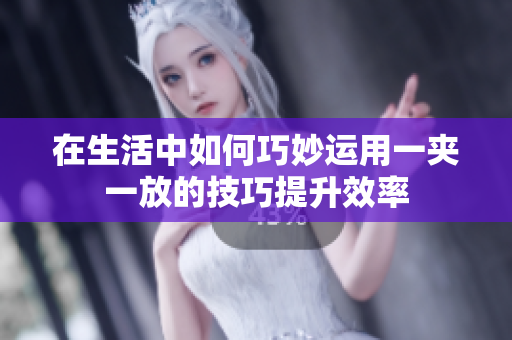 在生活中如何巧妙运用一夹一放的技巧提升效率