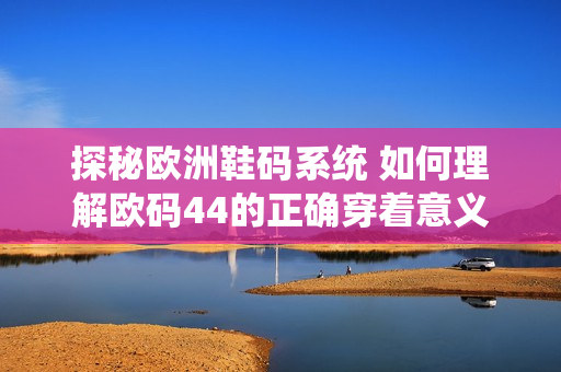探秘欧洲鞋码系统 如何理解欧码44的正确穿着意义