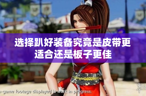 选择趴好装备究竟是皮带更适合还是板子更佳