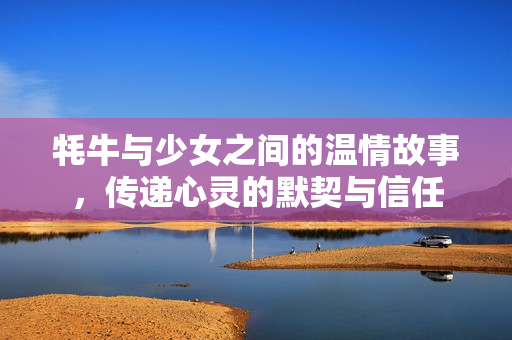 牦牛与少女之间的温情故事，传递心灵的默契与信任