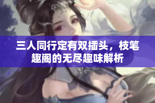 三人同行定有双插头，枝笔趣阁的无尽趣味解析