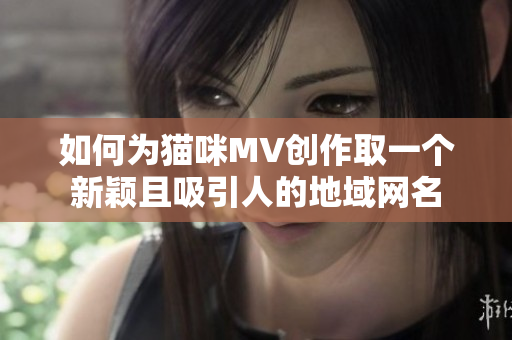 如何为猫咪MV创作取一个新颖且吸引人的地域网名