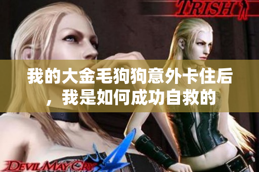 我的大金毛狗狗意外卡住后，我是如何成功自救的