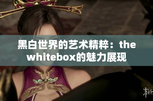 黑白世界的艺术精粹：thewhitebox的魅力展现
