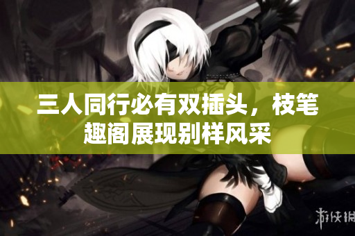 三人同行必有双插头，枝笔趣阁展现别样风采