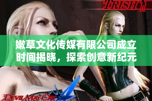 嫩草文化传媒有限公司成立时间揭晓，探索创意新纪元