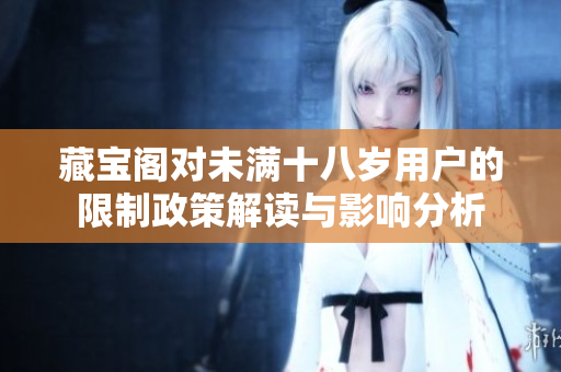藏宝阁对未满十八岁用户的限制政策解读与影响分析