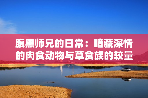 腹黑师兄的日常：暗藏深情的肉食动物与草食族的较量