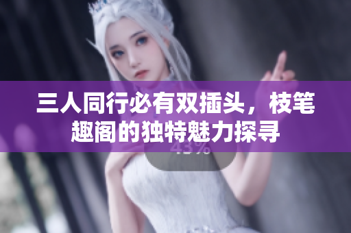 三人同行必有双插头，枝笔趣阁的独特魅力探寻