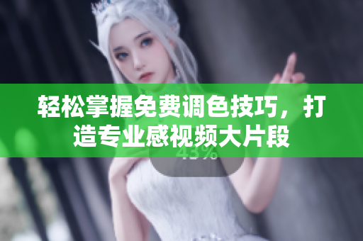 轻松掌握免费调色技巧，打造专业感视频大片段