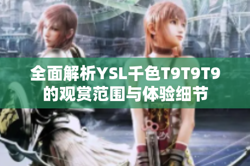 全面解析YSL千色T9T9T9的观赏范围与体验细节