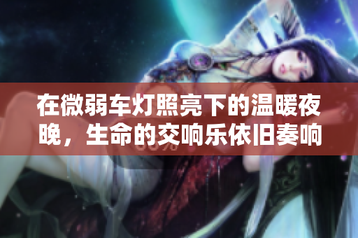 在微弱车灯照亮下的温暖夜晚，生命的交响乐依旧奏响