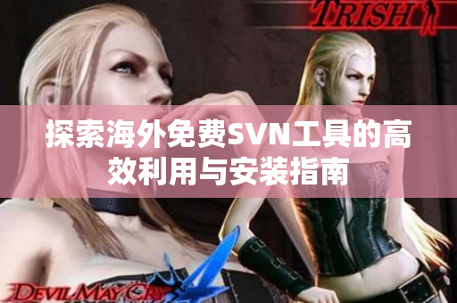 探索海外免费SVN工具的高效利用与安装指南