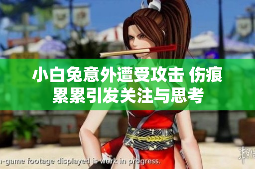 小白兔意外遭受攻击 伤痕累累引发关注与思考