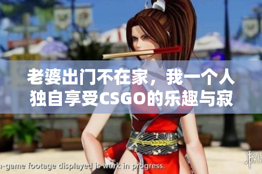 老婆出门不在家，我一个人独自享受CSGO的乐趣与寂寞