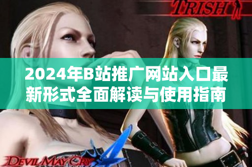 2024年B站推广网站入口最新形式全面解读与使用指南