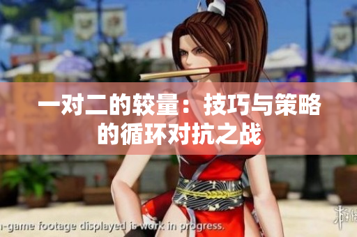 一对二的较量：技巧与策略的循环对抗之战