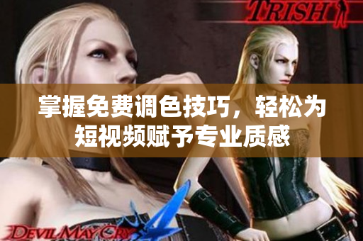 掌握免费调色技巧，轻松为短视频赋予专业质感