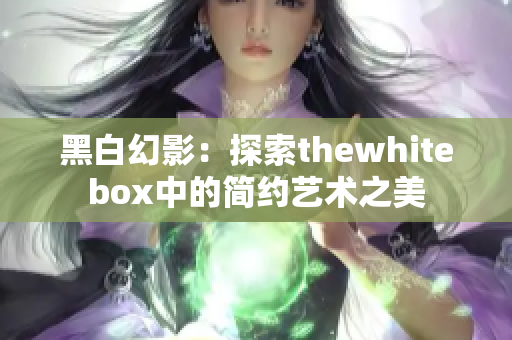 黑白幻影：探索thewhitebox中的简约艺术之美