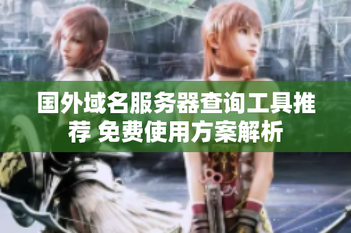 国外域名服务器查询工具推荐 免费使用方案解析