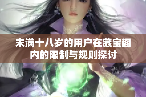 未满十八岁的用户在藏宝阁内的限制与规则探讨