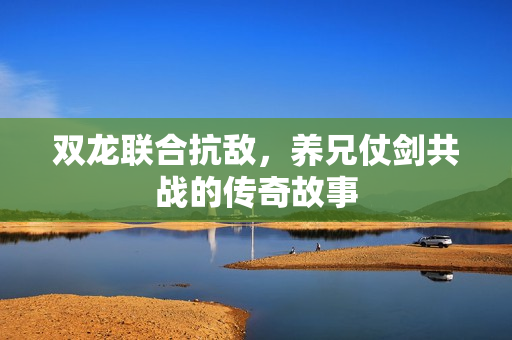 双龙联合抗敌，养兄仗剑共战的传奇故事